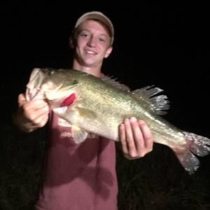 Meet your Posher, Brock